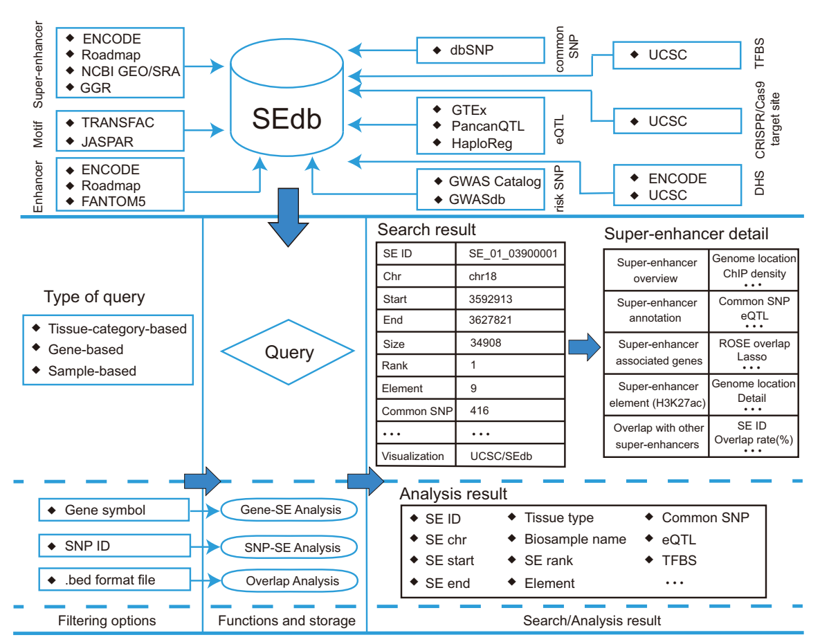 CATA Database Interface